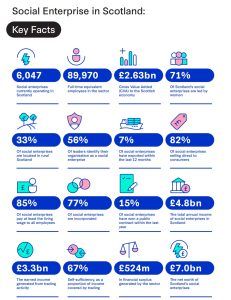 Social Enterprise Census 2024 231x300