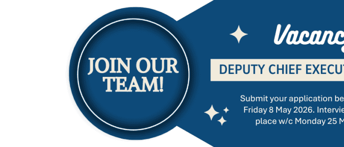 website banner template 2 700x300